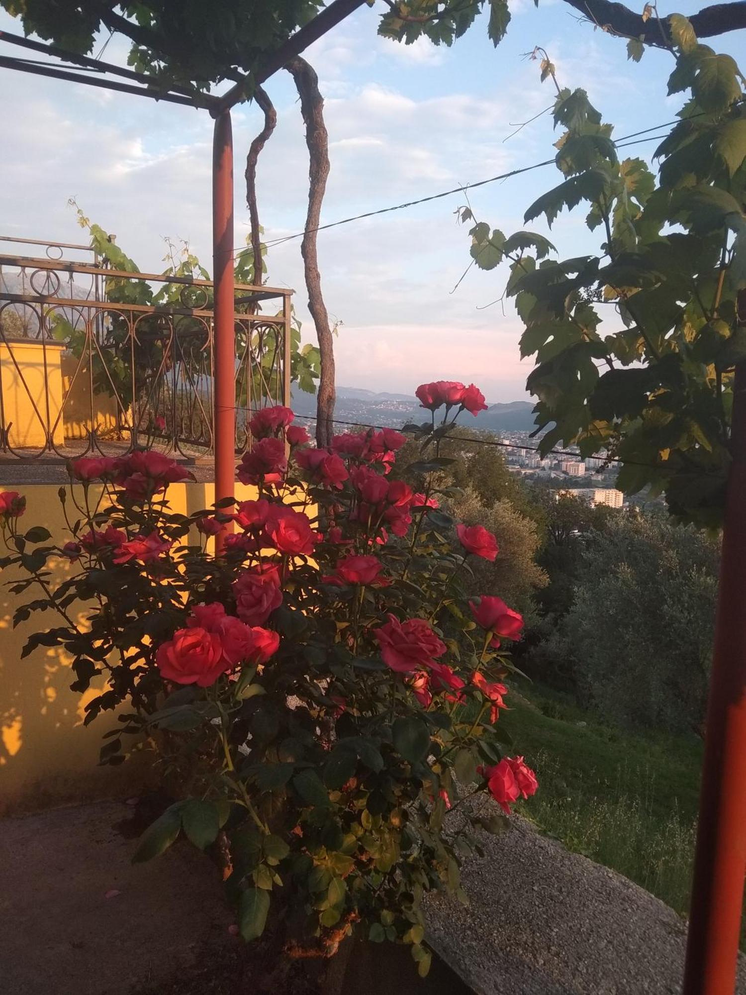 Apartman "Marko" Bar Esterno foto