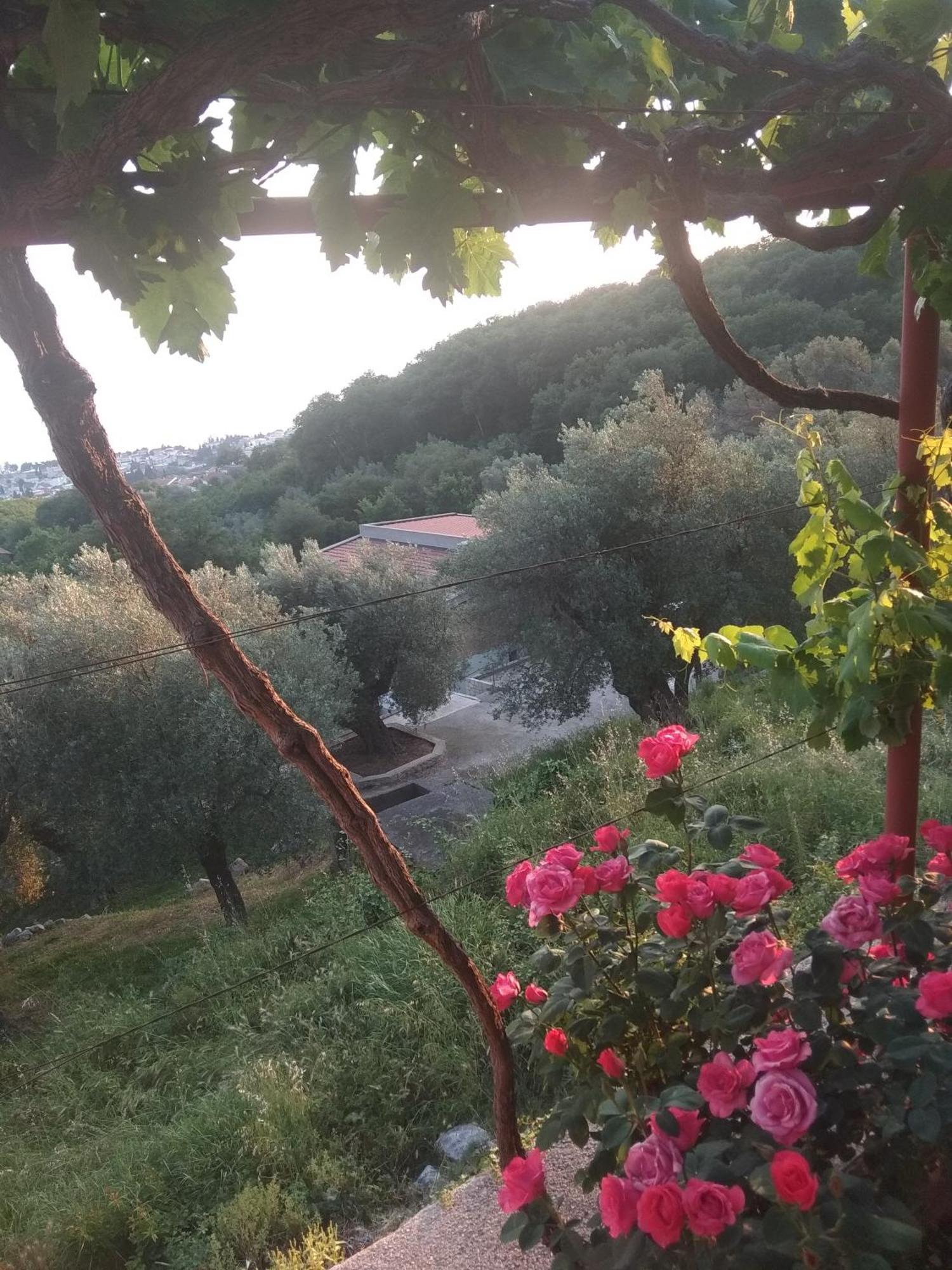 Apartman "Marko" Bar Esterno foto